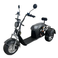 Электроскутер Maikaolin R11 Трехколесный Харлей