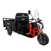 Грузовой электротрицикл WHITE SIBERIA SIBTRIKE CARGO 1000